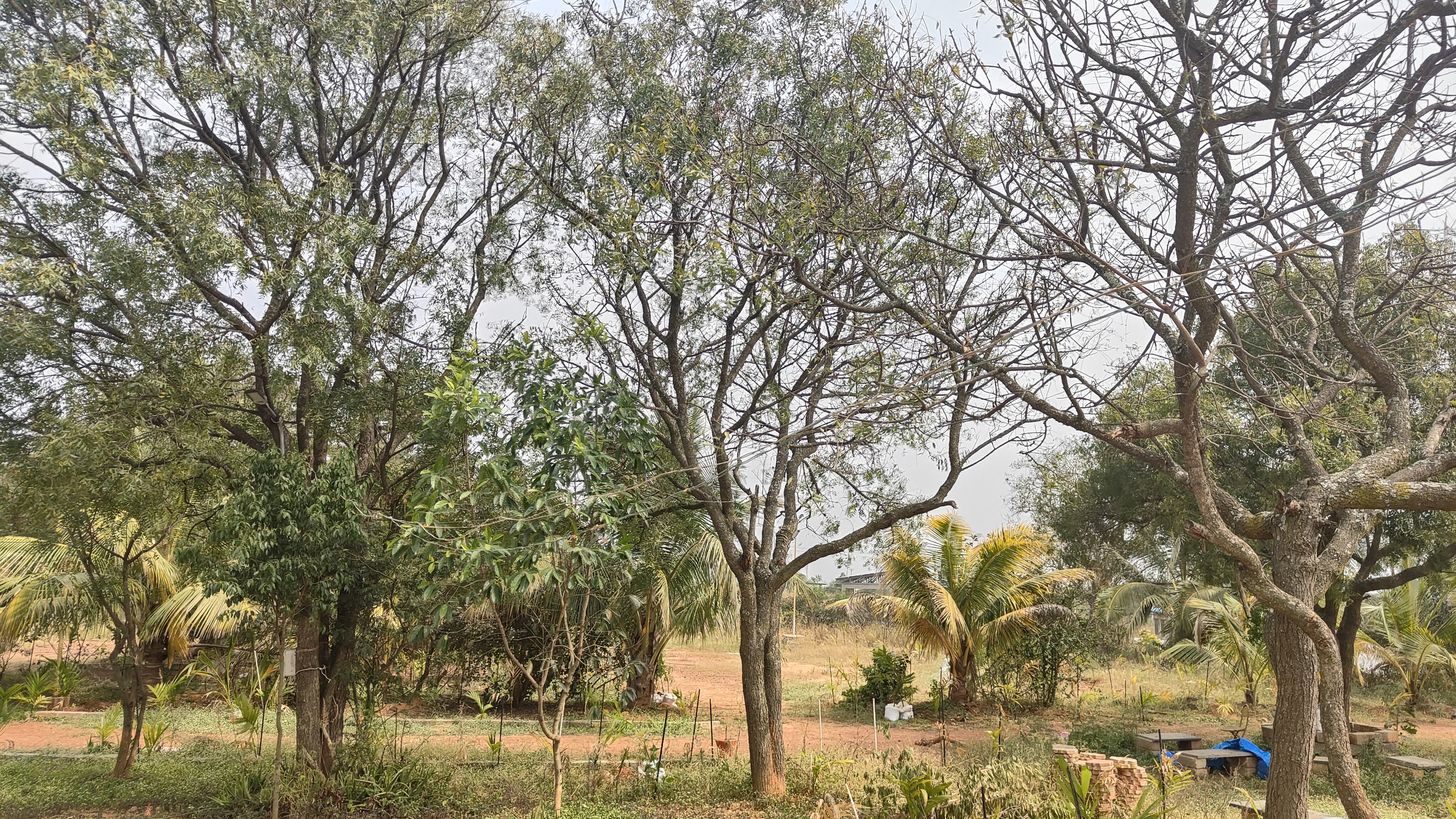 Shri Shirdi Sai Baba Temple