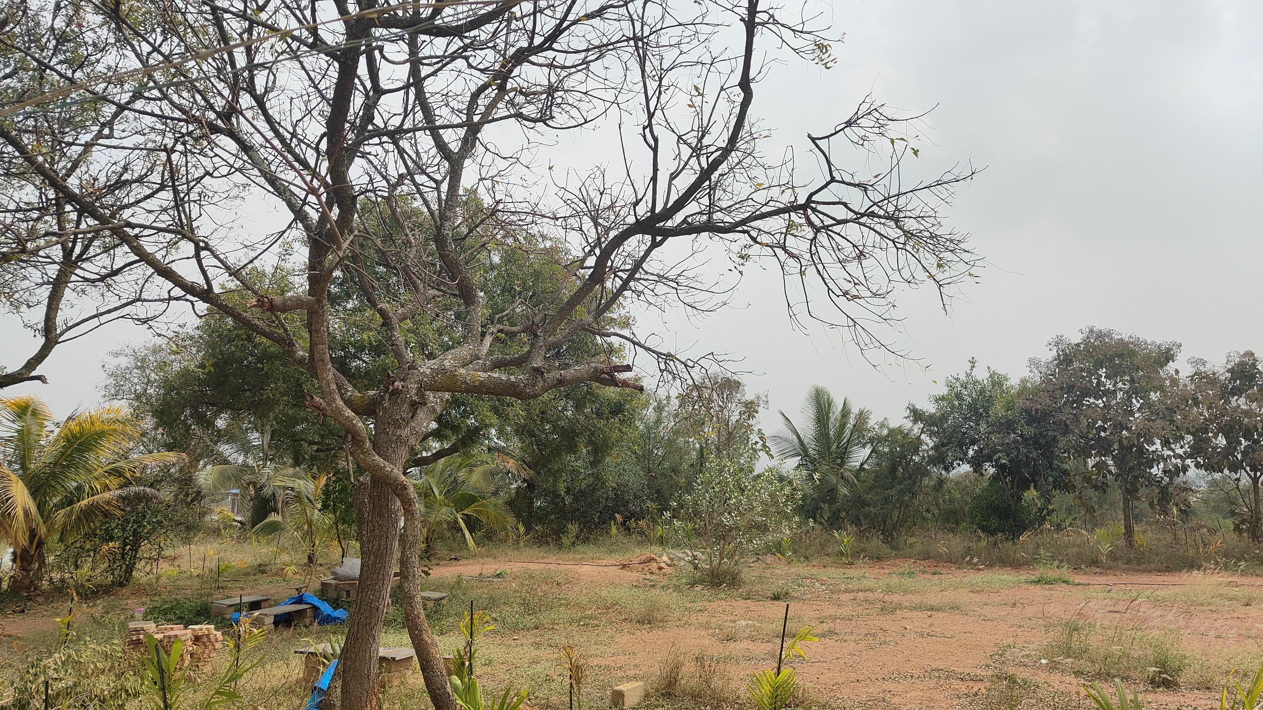 Shri Shirdi Sai Baba Temple