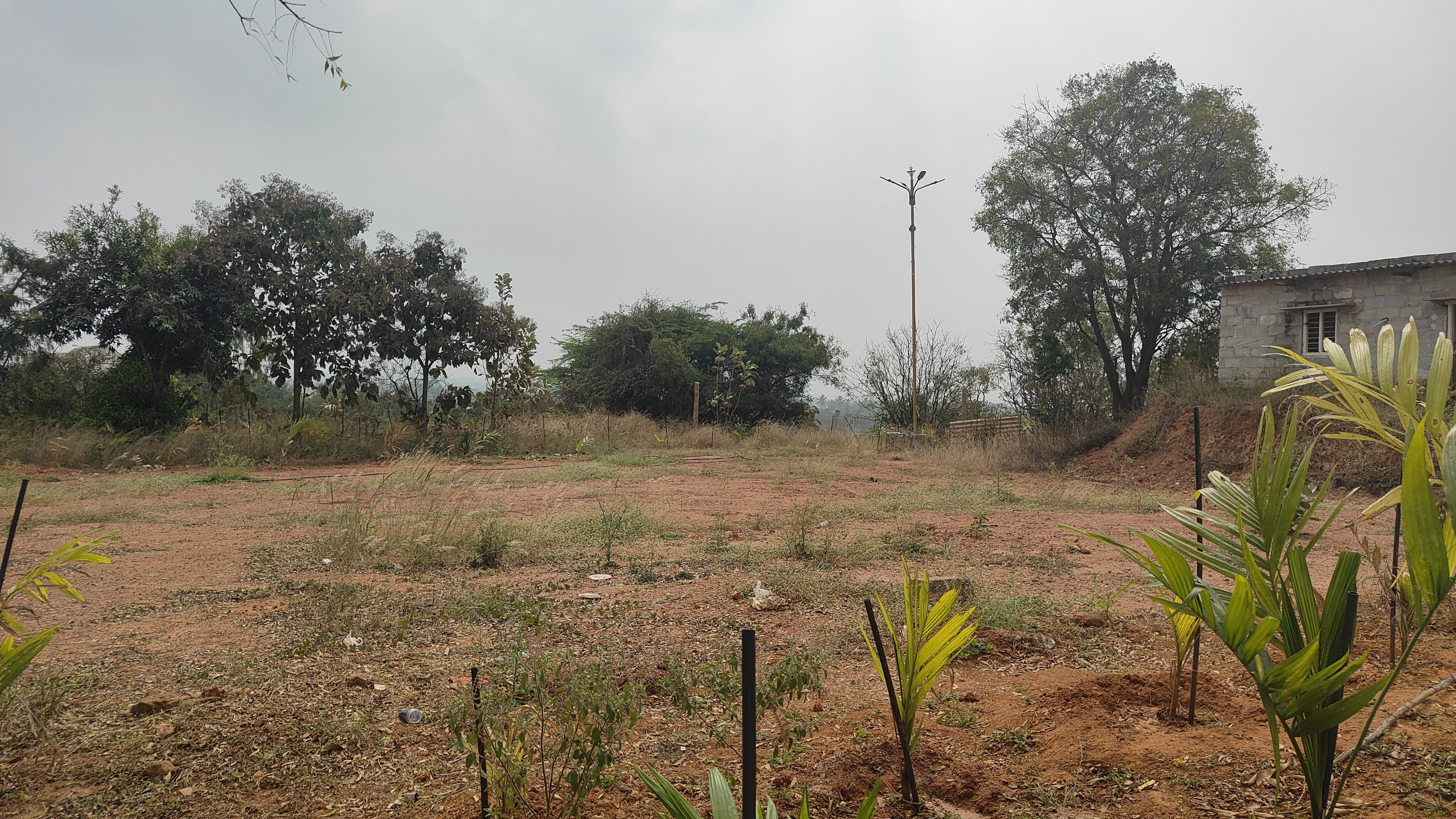 Shri Shirdi Sai Baba Temple