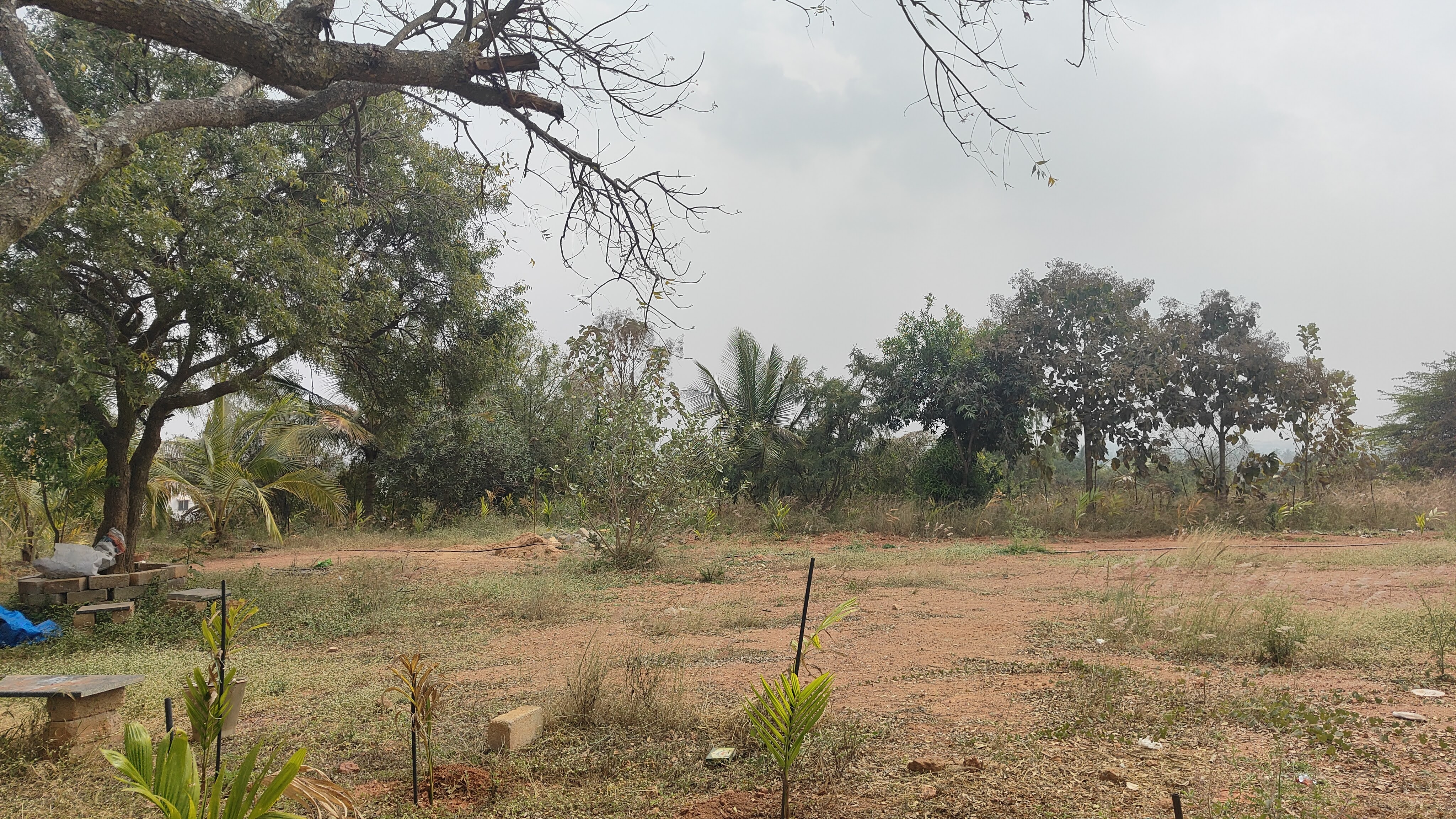 Shri Shirdi Sai Baba Temple