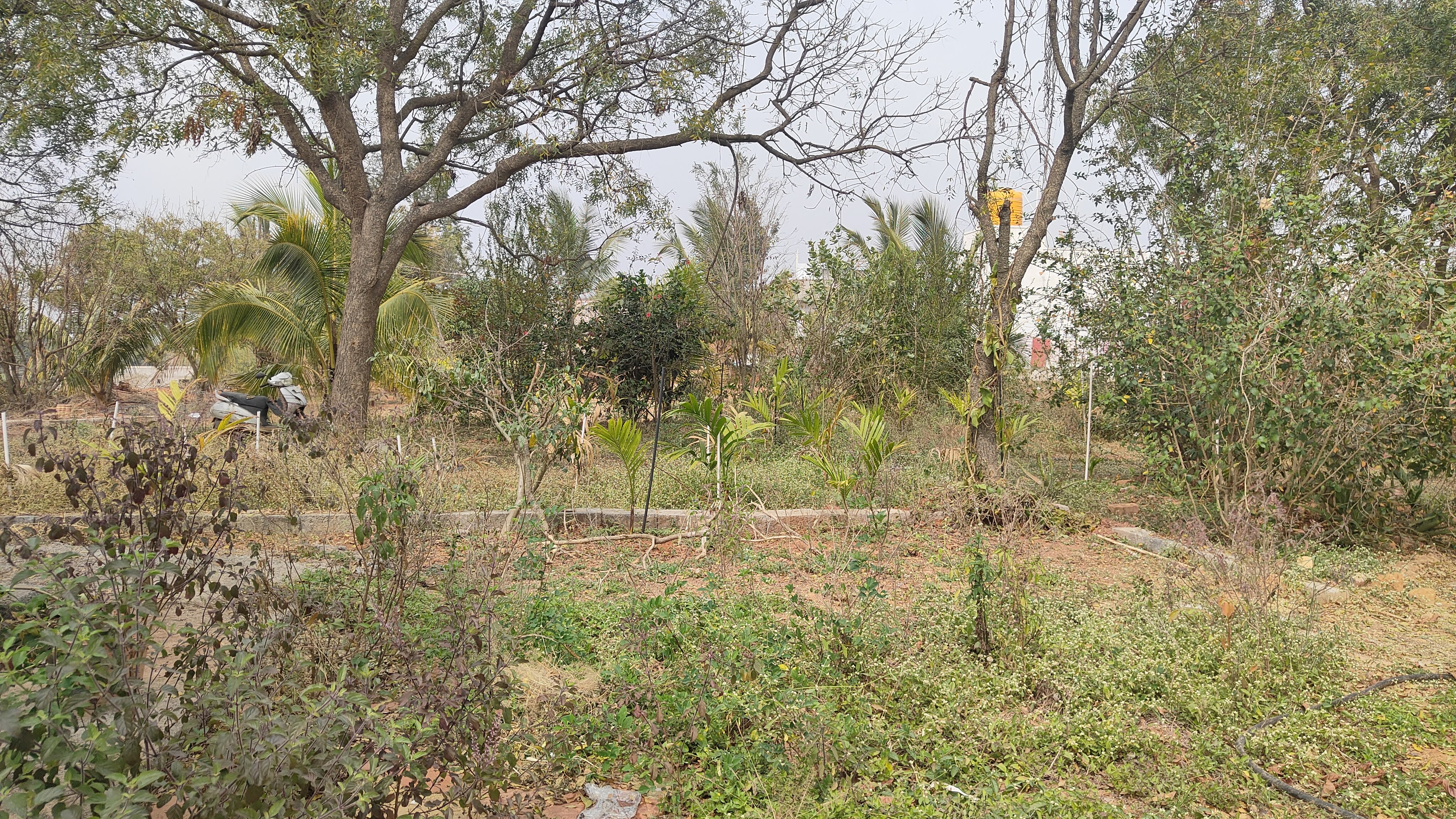 Shri Shirdi Sai Baba Temple