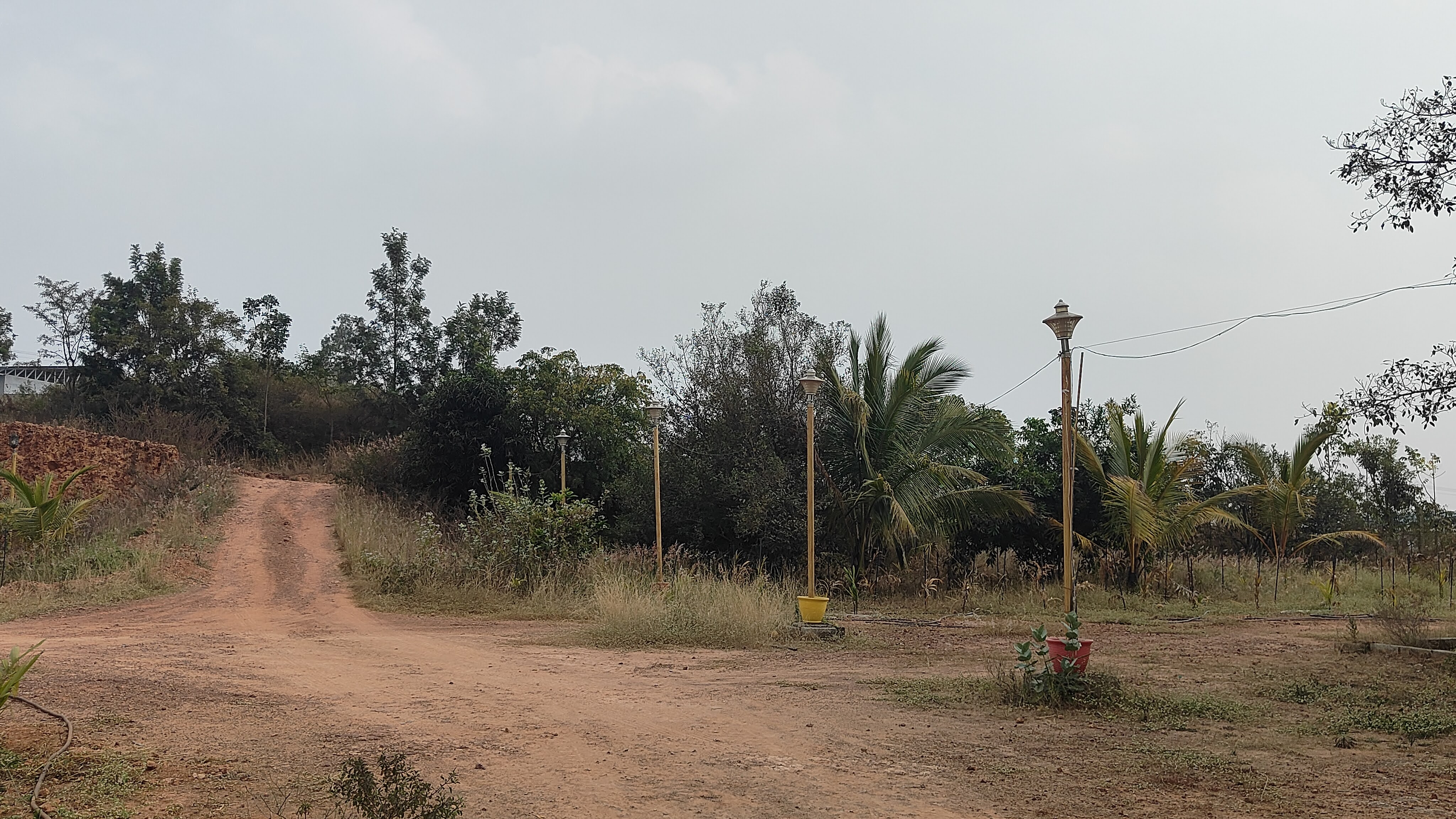 Shri Shirdi Sai Baba Temple