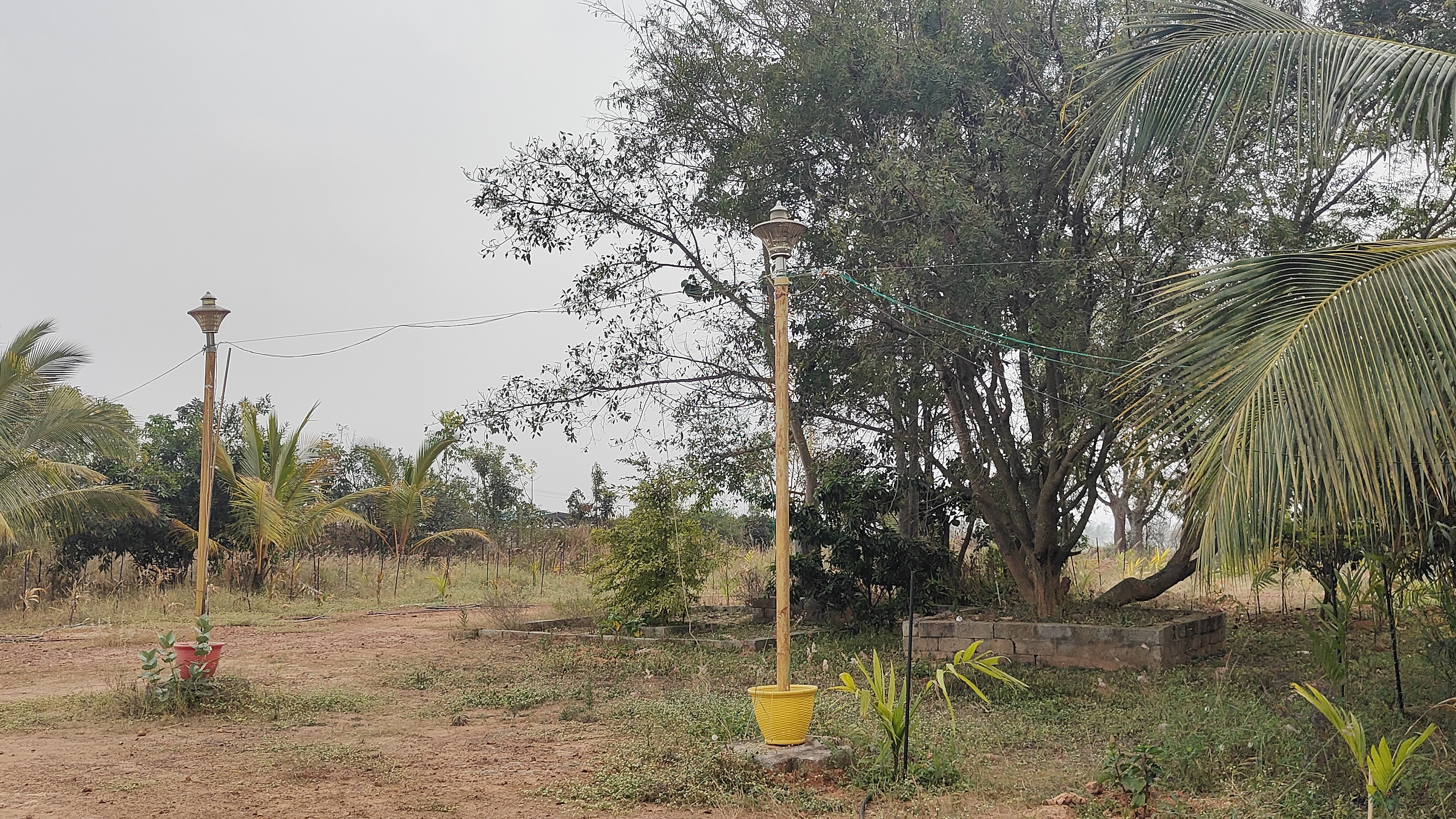 Shri Shirdi Sai Baba Temple