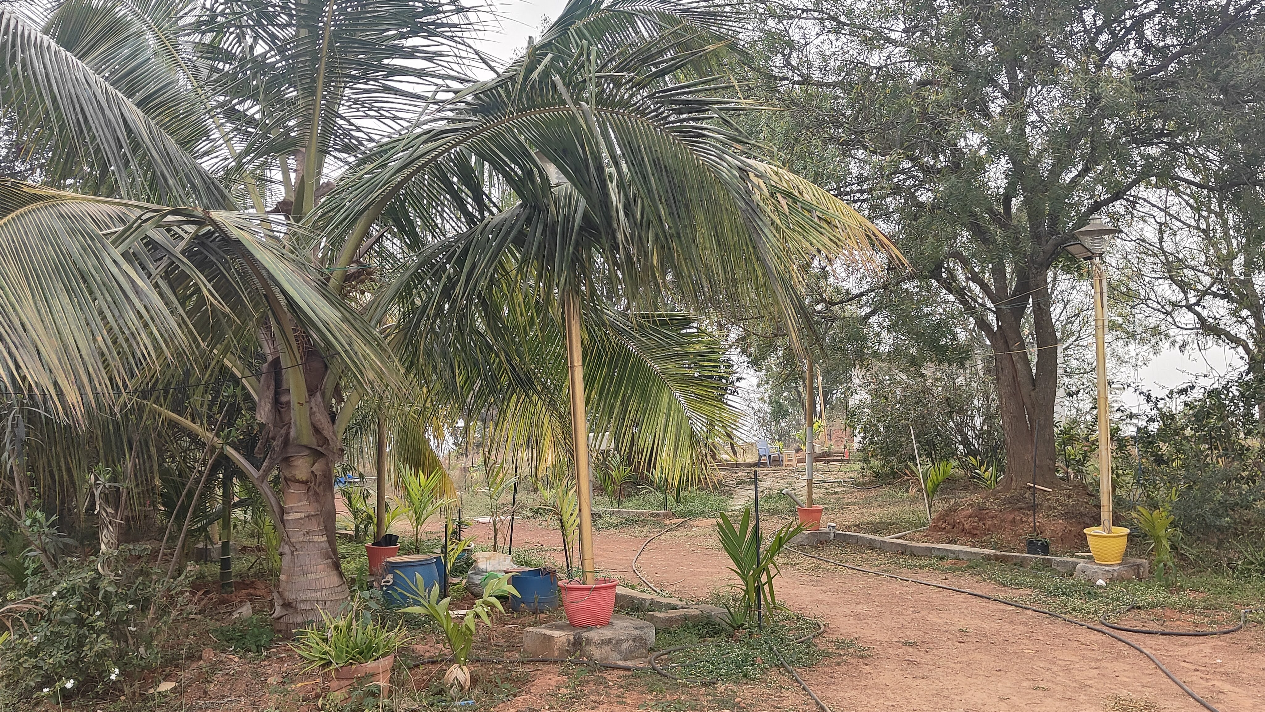 Shri Shirdi Sai Baba Temple