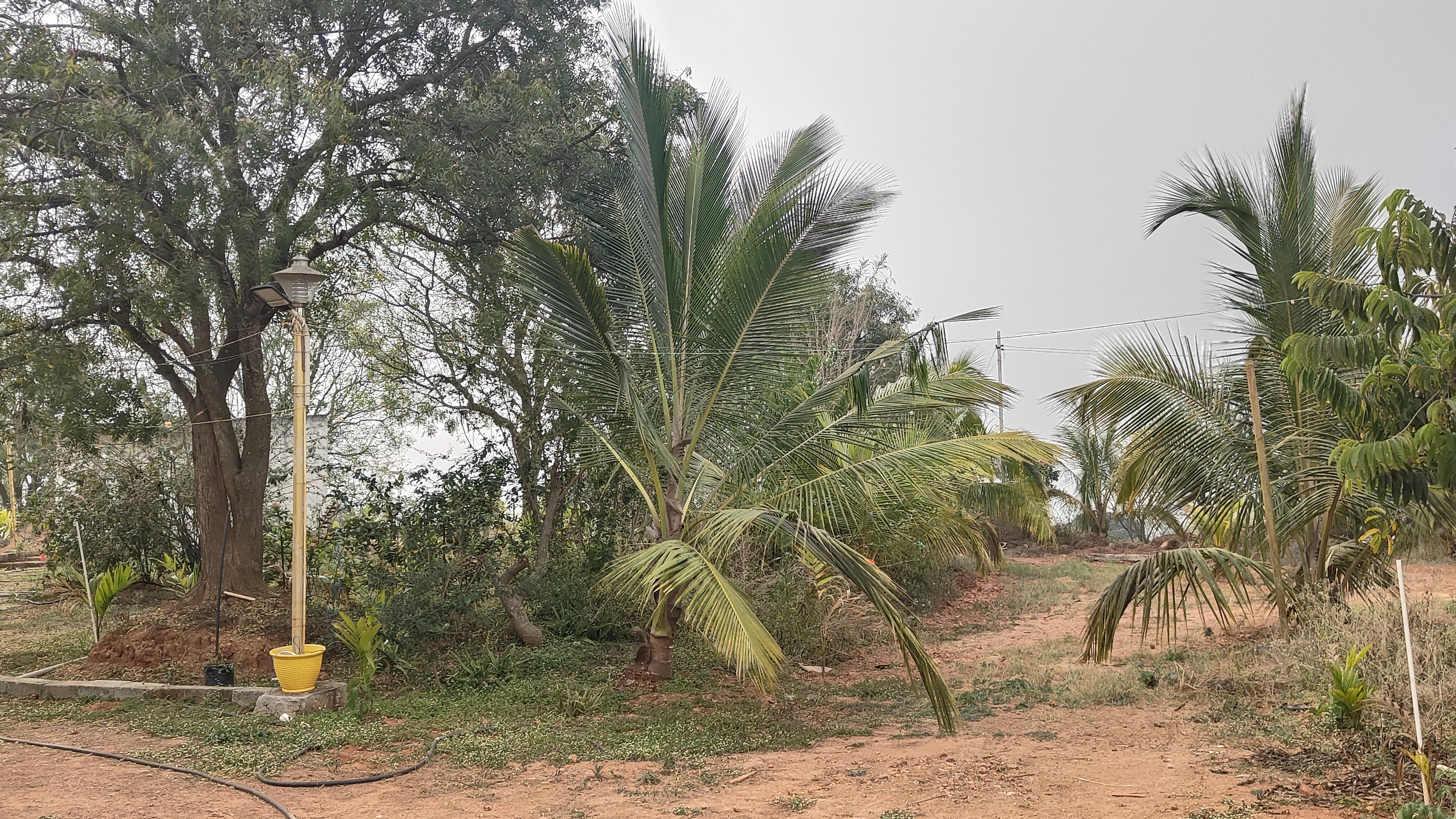 Shri Shirdi Sai Baba Temple