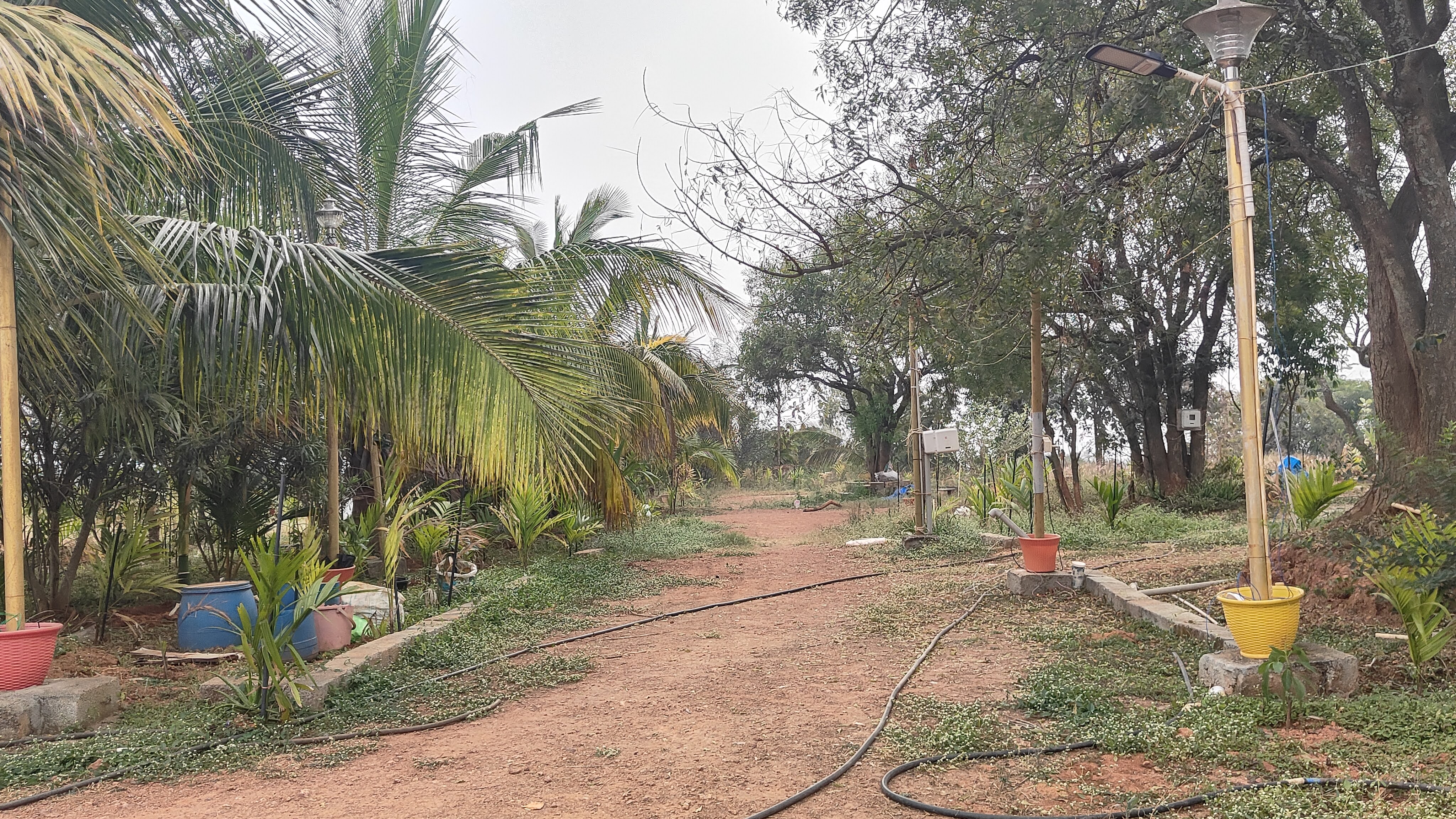 Shri Shirdi Sai Baba Temple