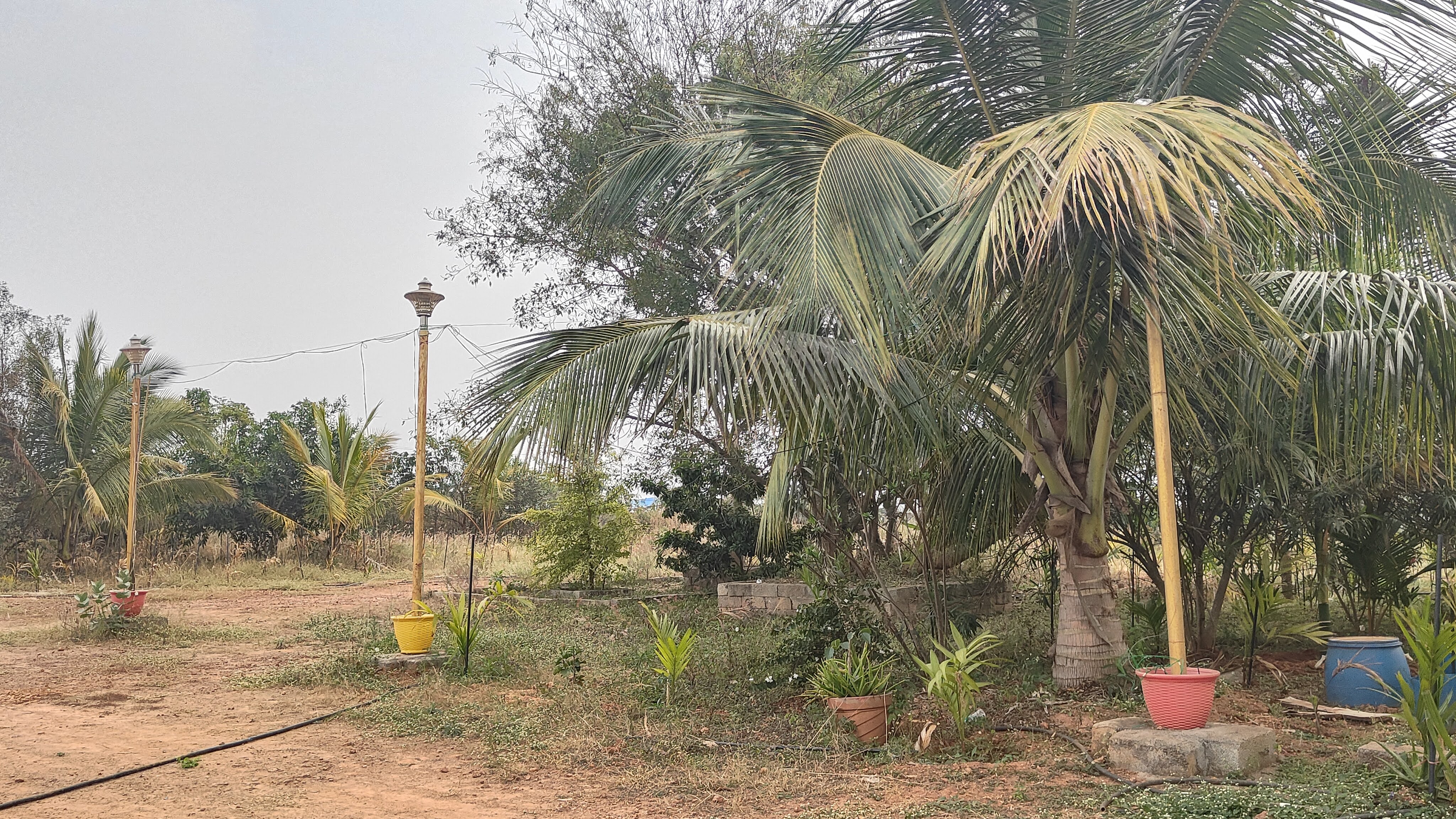 Shri Shirdi Sai Baba Temple