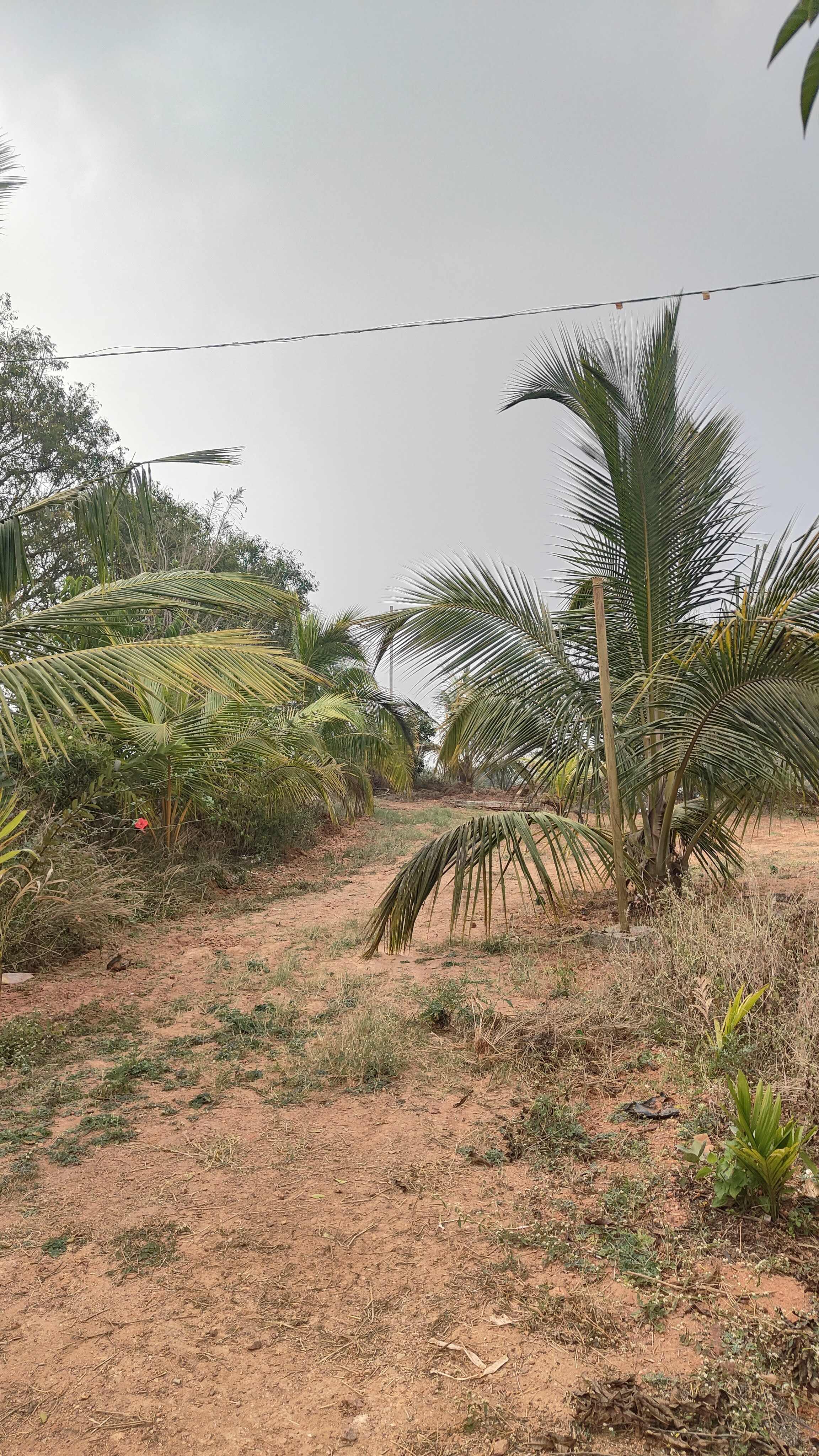 Shri Shirdi Sai Baba Temple