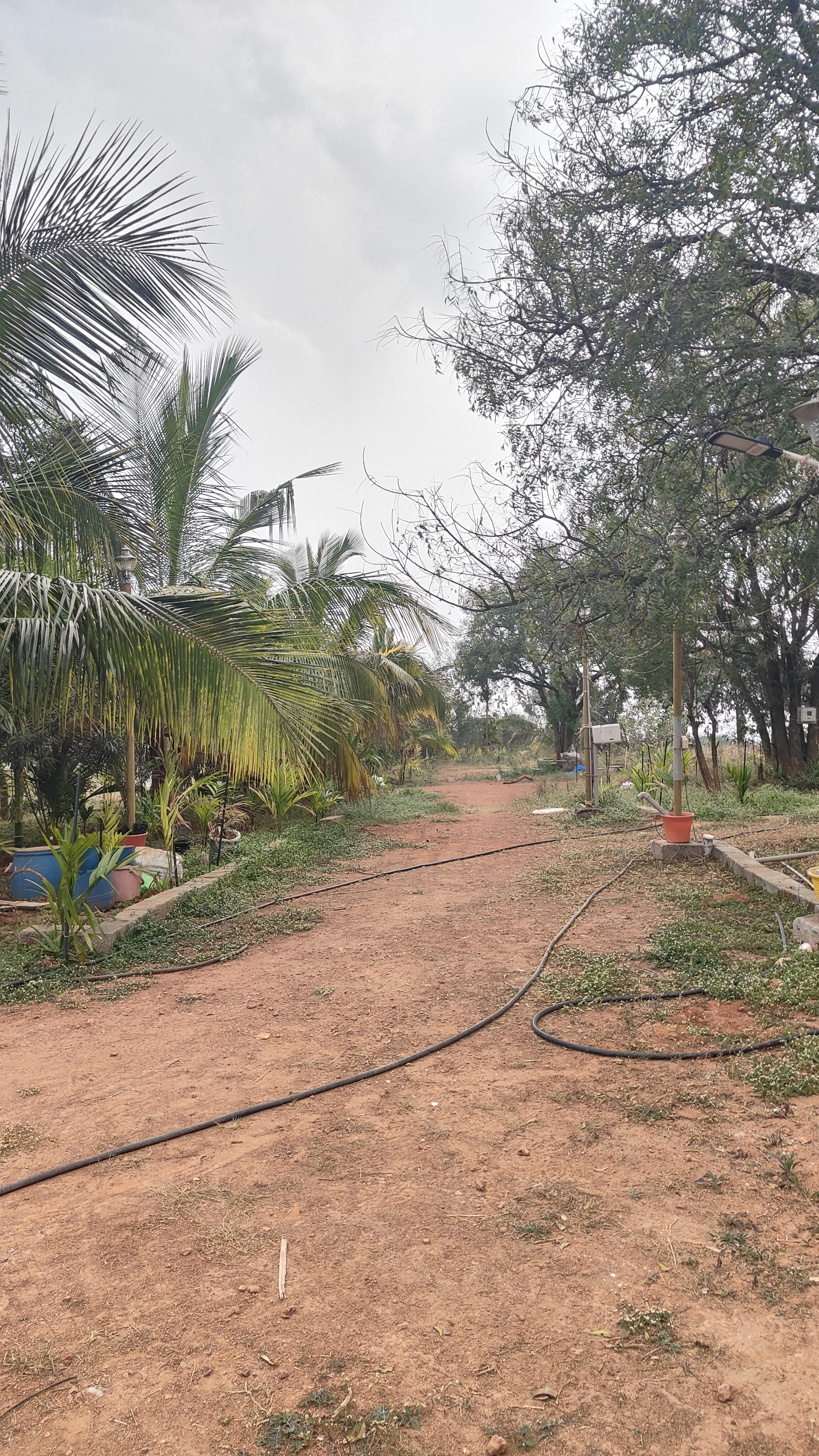 Shri Shirdi Sai Baba Temple