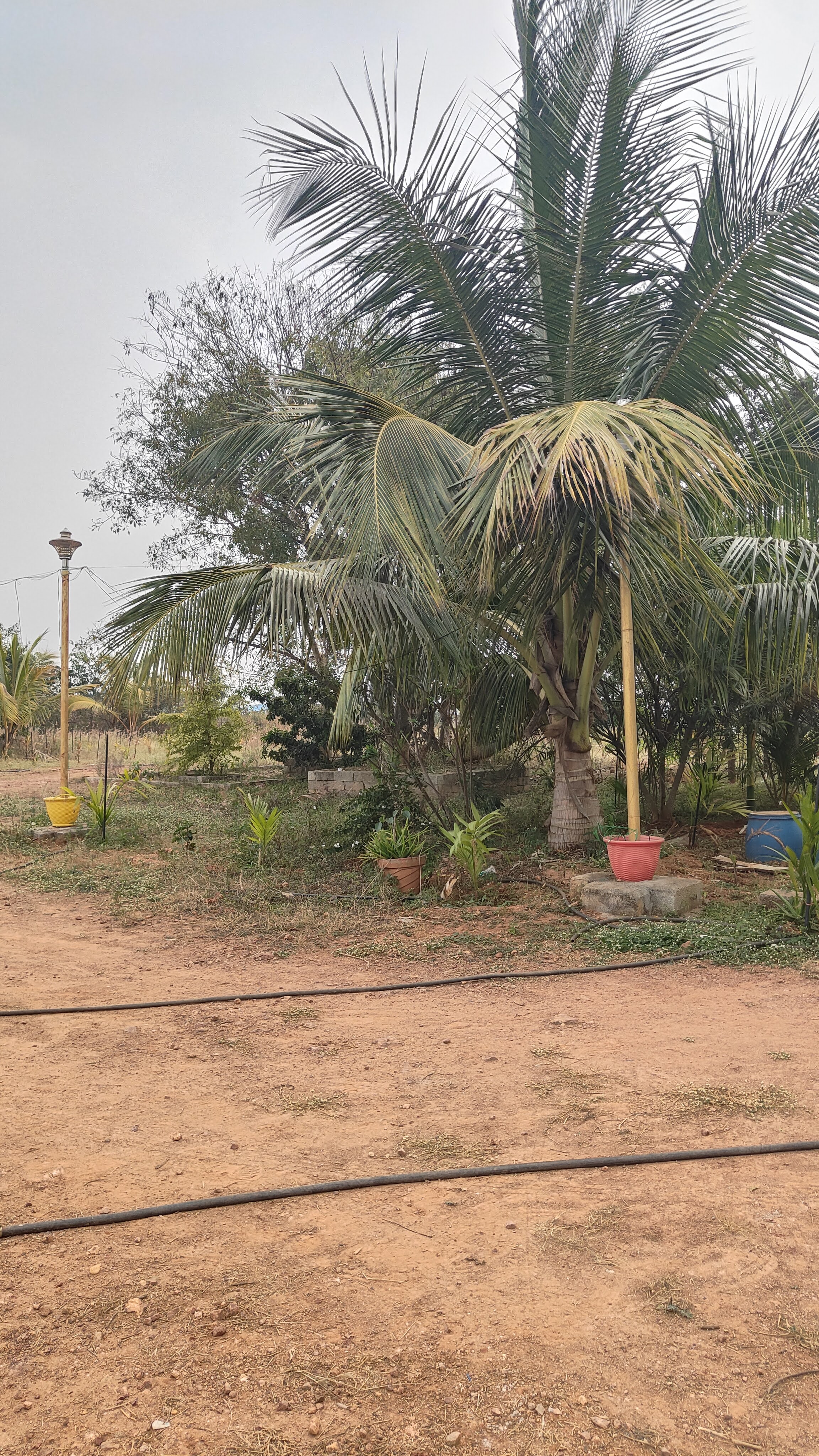 Shri Shirdi Sai Baba Temple