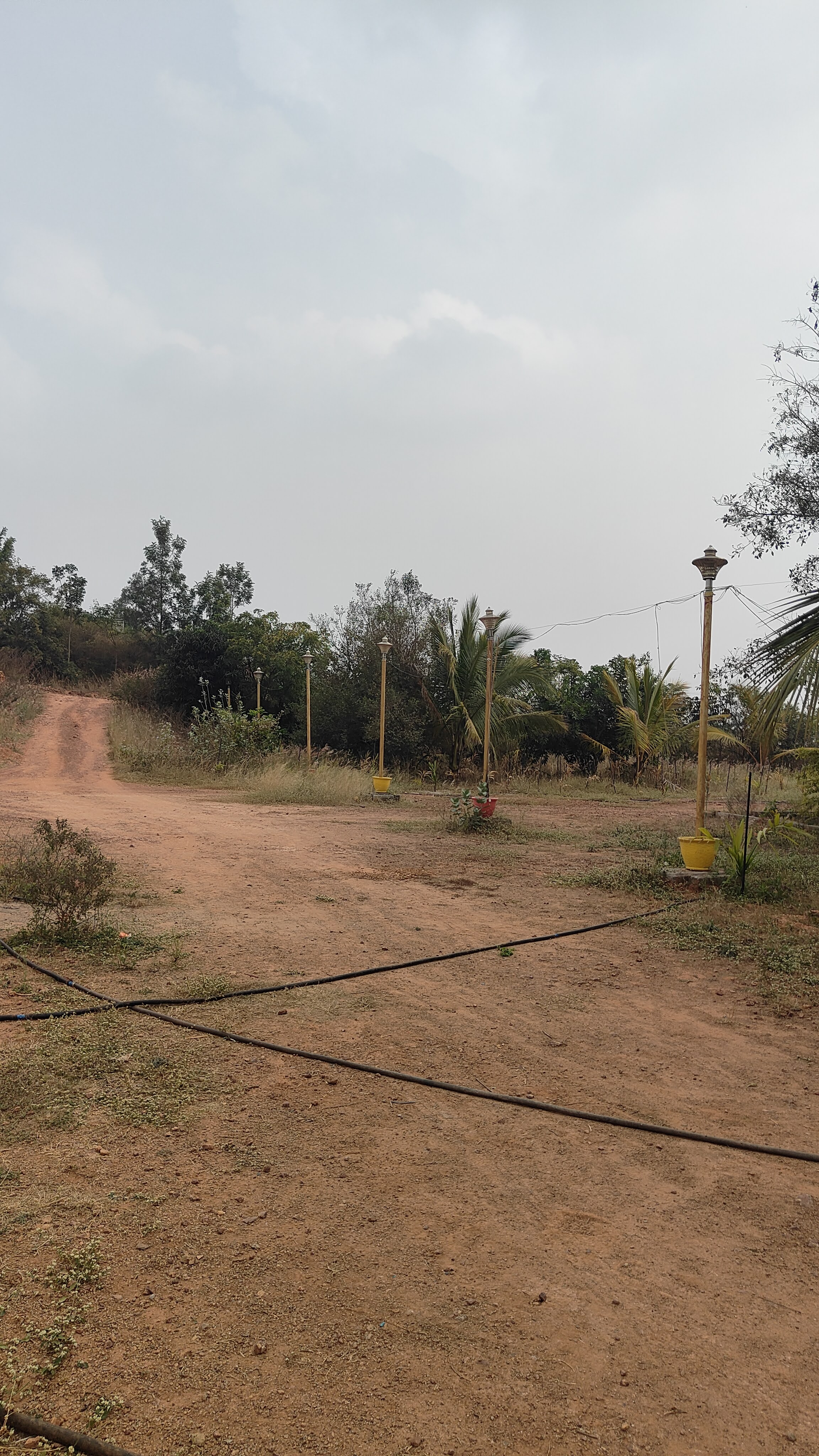 Shri Shirdi Sai Baba Temple